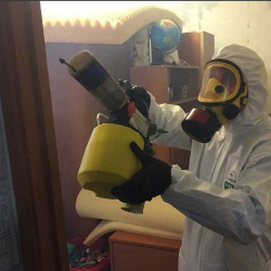Уничтожение клопов в квартире. Ветлуга
